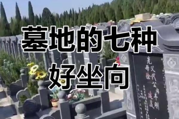 看墓地风水的方法