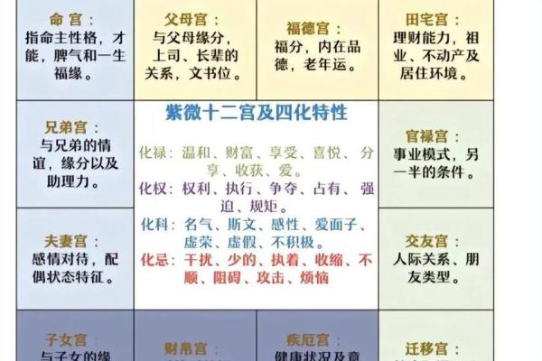 紫薇斗数群聊吧
