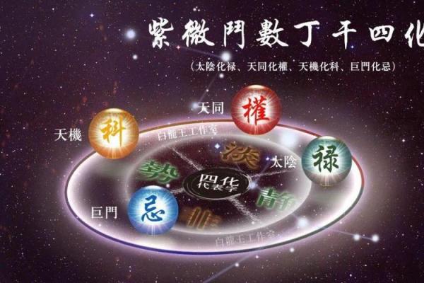 紫薇斗数四化