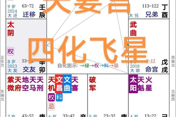 紫薇斗数四化