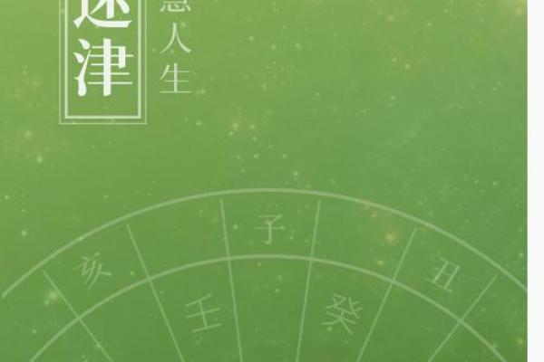 紫薇斗数宗师级