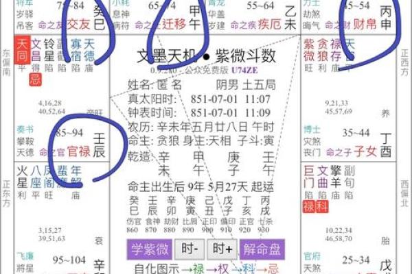 解说紫微斗数 深入解读紫微斗数？