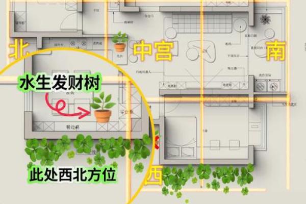 简单的风水改运，绿植摆放指南