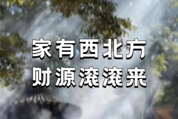 梦见风水先生看自己的房子