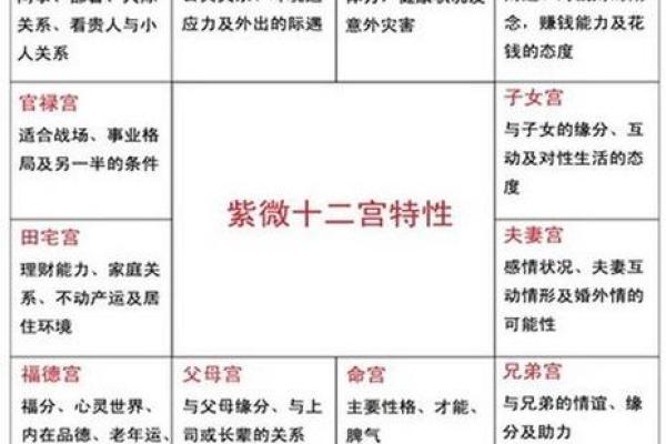 紫微斗数命盘空宫的含义