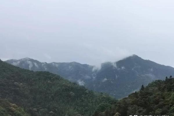 祖上有德祖坟风水好的征兆