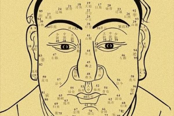 周易算命看面相