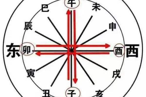 八字基础之(六冲、六害)