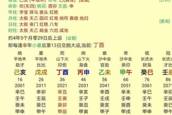 丁酉丙午癸酉丁巳，解析八字命盘的五行属性和性格特点