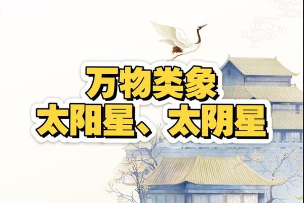 怎么判断八字里的太阴星和太阳星