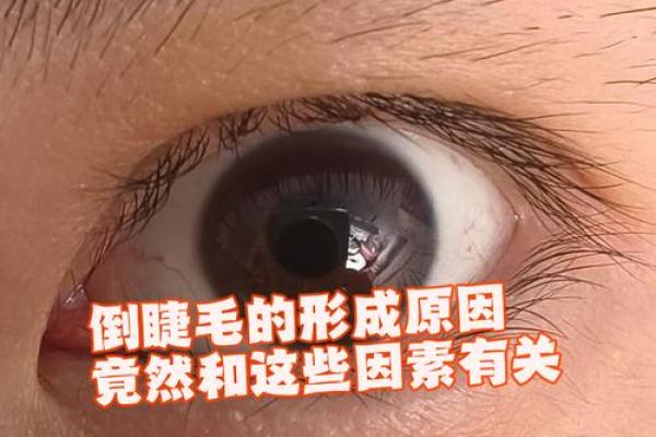 眼睛是倒八字