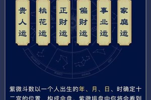 紫薇斗数职业学院