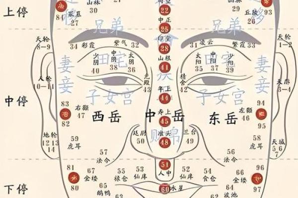脸的各部位胎记算命详解