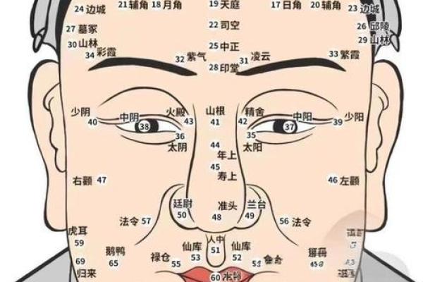 脸的各部位胎记算命详解