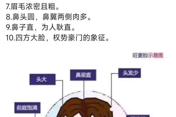 风水面相耳朵垂大的人代表有福气吗