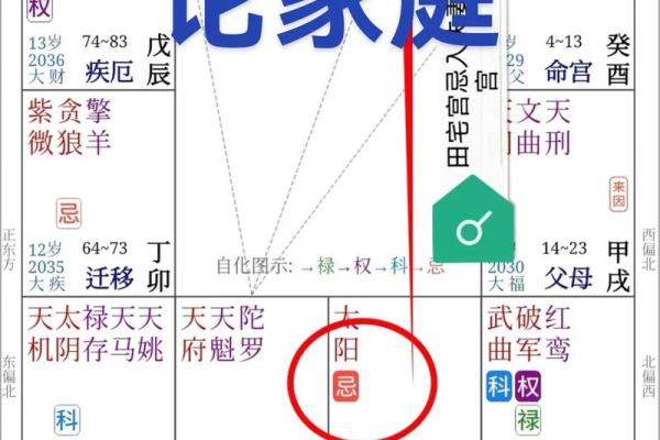 紫薇斗数二胎看哪个宫位