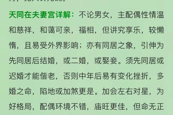 紫薇斗数夫妻宫带天府