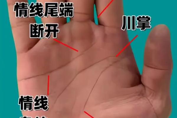 风水手相：生命线短的女人短命吗