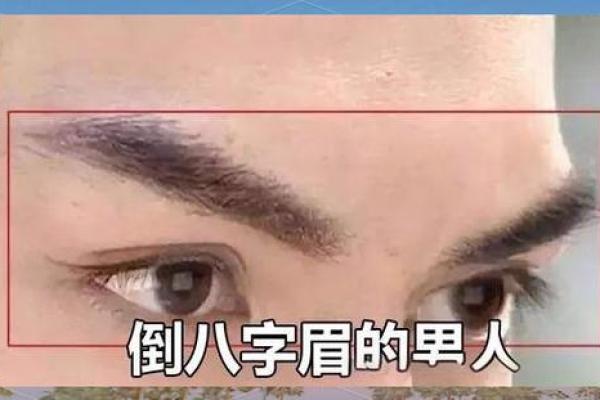 眉毛看相：八字眉的男人命运如何