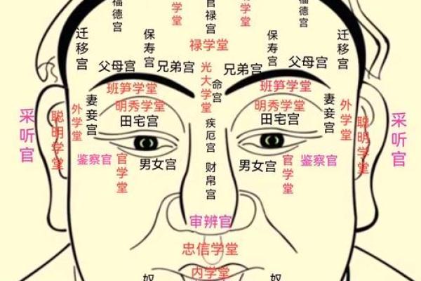 紫微斗数诸星落诸宫之：天相星财帛宫详解