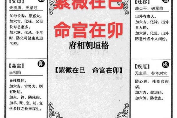 属于紫薇斗数