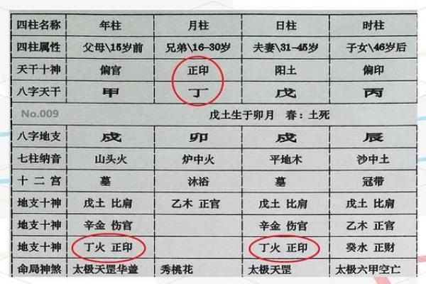 八字生命