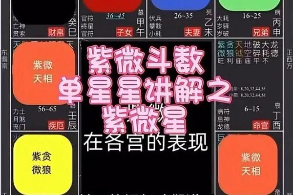 紫微斗数子女宫禄存星详解 子女宫碌存？