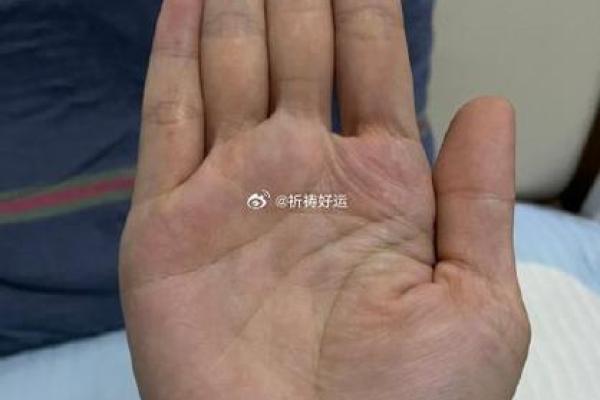 川字掌算命分析