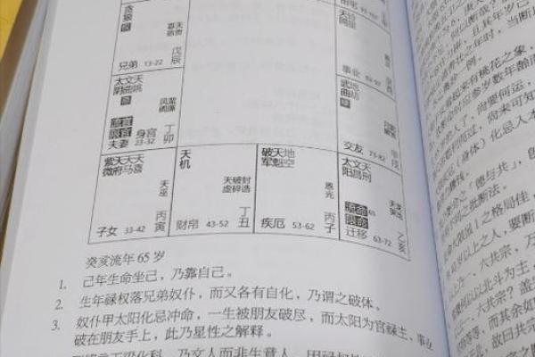紫薇斗数全书简体