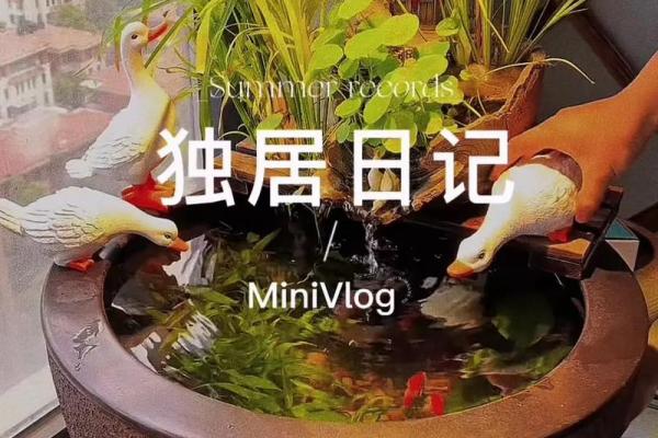 风水房子右边养鸭子好吗