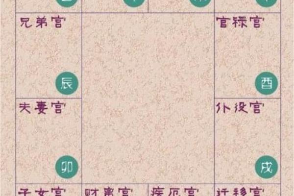 紫薇斗数看配偶姓名