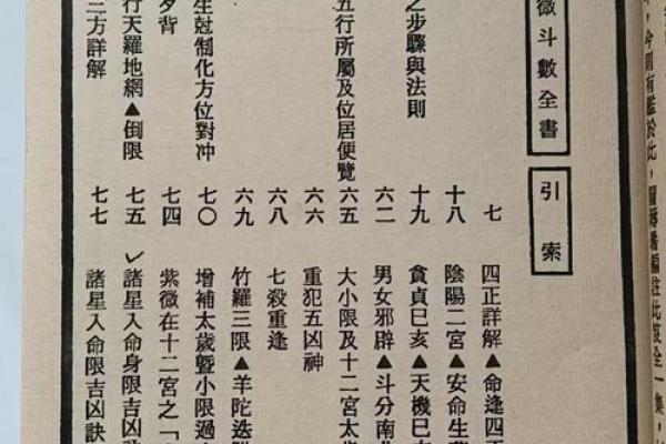 紫薇斗数著作