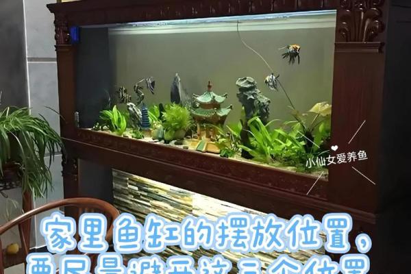鱼缸里随便养几条鱼就算是风水鱼吗？