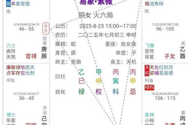 紫薇斗数紫薇入命宫