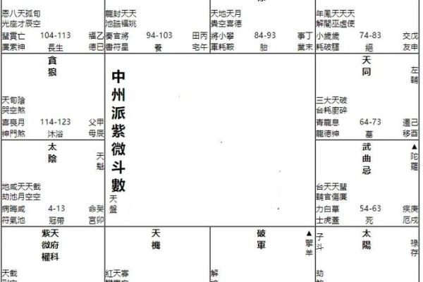 紫薇斗数用什么算