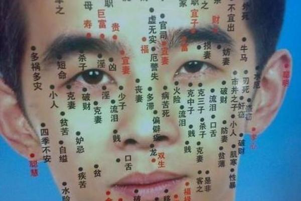 面相图解-八字眉面相算命及特征