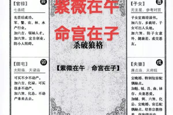 紫薇斗数初级