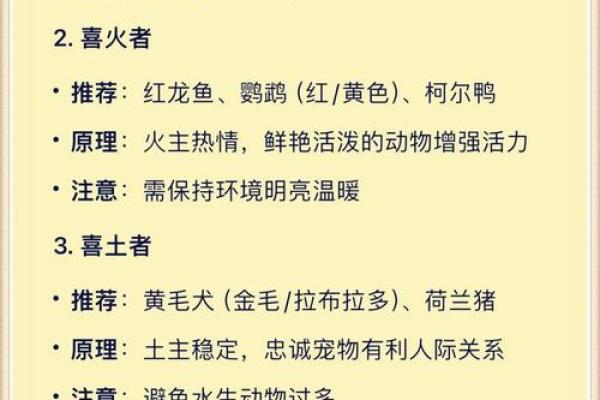 八字分析：如何看宠物是否适合你养？