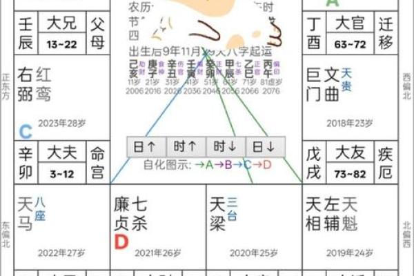 元享紫薇斗数