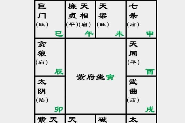 紫薇斗数对星