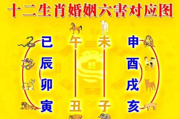 八字不合是指什么不合 八字不合的影响