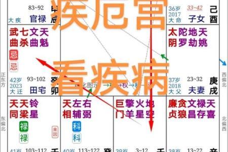紫微斗数疾厄宫太阴化禄