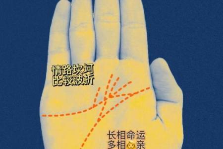 算命看手相算命图解 女性子女线