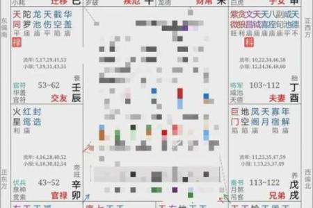 紫薇斗数富贵格格