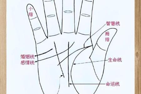 看手相算命：第三课 指头与掌型