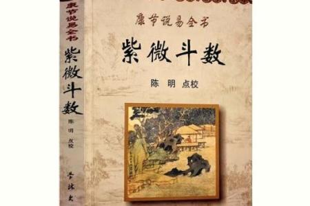紫薇斗数精成大家