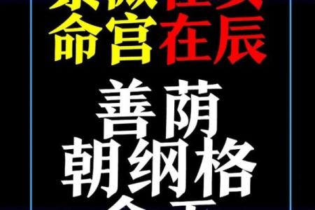 紫微斗数案例25健康：抑郁的命盘啥样？你在什么时间渡劫？
