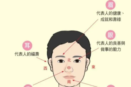 周易算命看面相