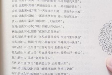 八字排盘起名