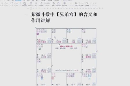 紫薇斗数的群